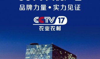新聞資訊-英尼斯特-【央視見證·品牌力量】英尼斯特強勢登陸央視！